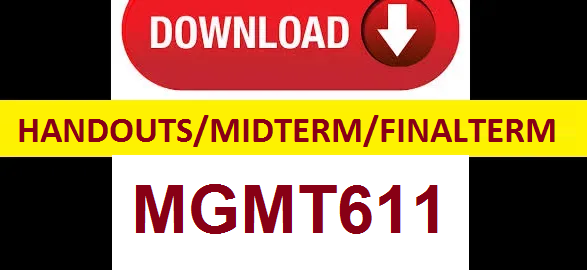 MGMT611 handouts midterm and final term solved papers