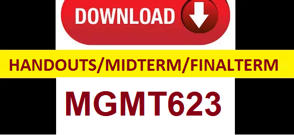 MGMT623 handouts midterm and final term solved papers