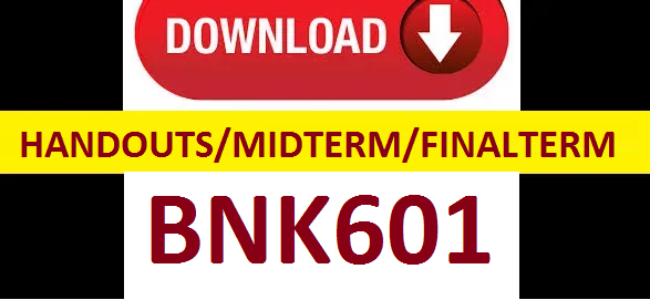 bnk601 handouts midterm and finalterm papers