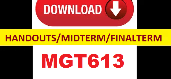 MGT613 handouts,midterm & finalterm papers