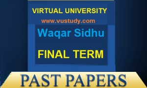 waqar sidhu final term past papers