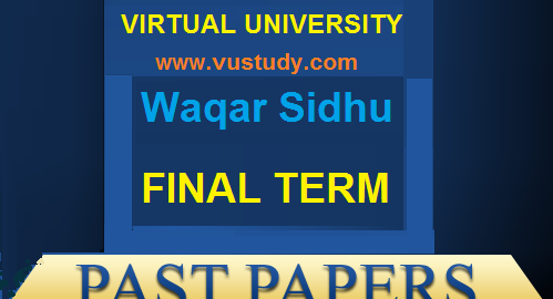 waqar sidhu final term past papers