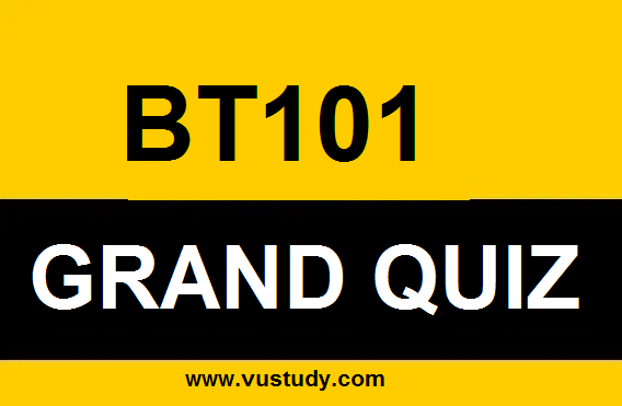 BT101 GRAND QUIZ